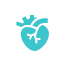 Cardiochirurgia