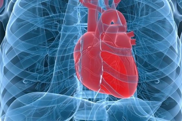 Cardiochirurgia