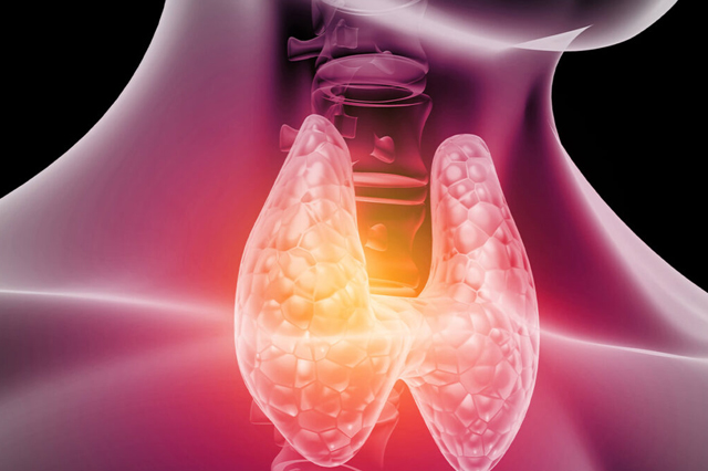 Endocrinologia